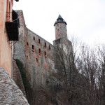 IMG_7162copy