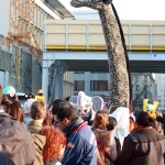 IMG_7433c