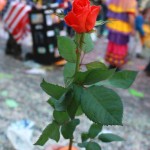 IMG_7474c