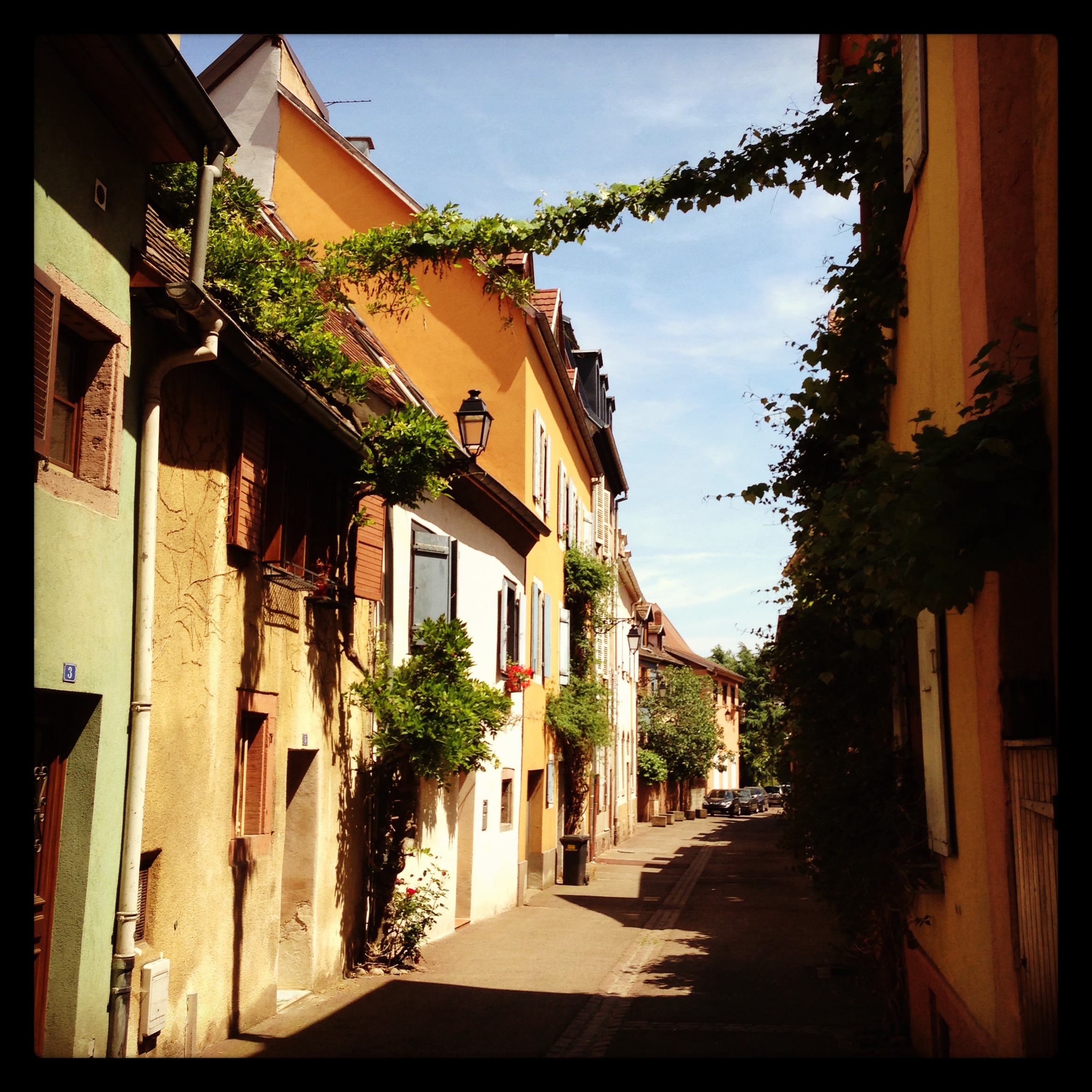 Colmar we Francji to idealne miasto na jednodniową wycieczkę.