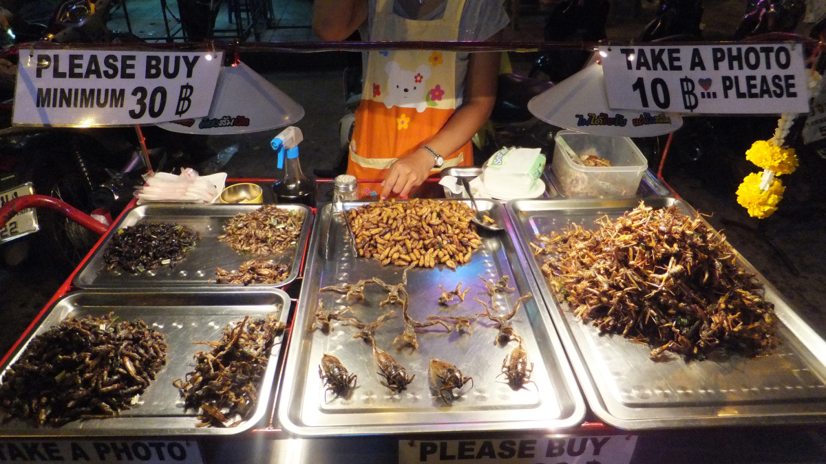 Bangkok-robale3