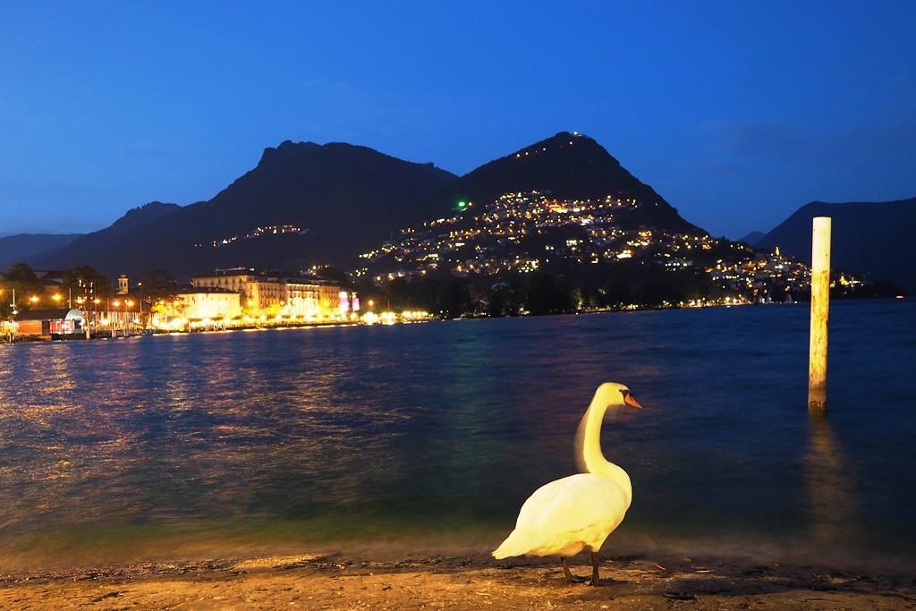 Lugano Lake Jezioro Lugano